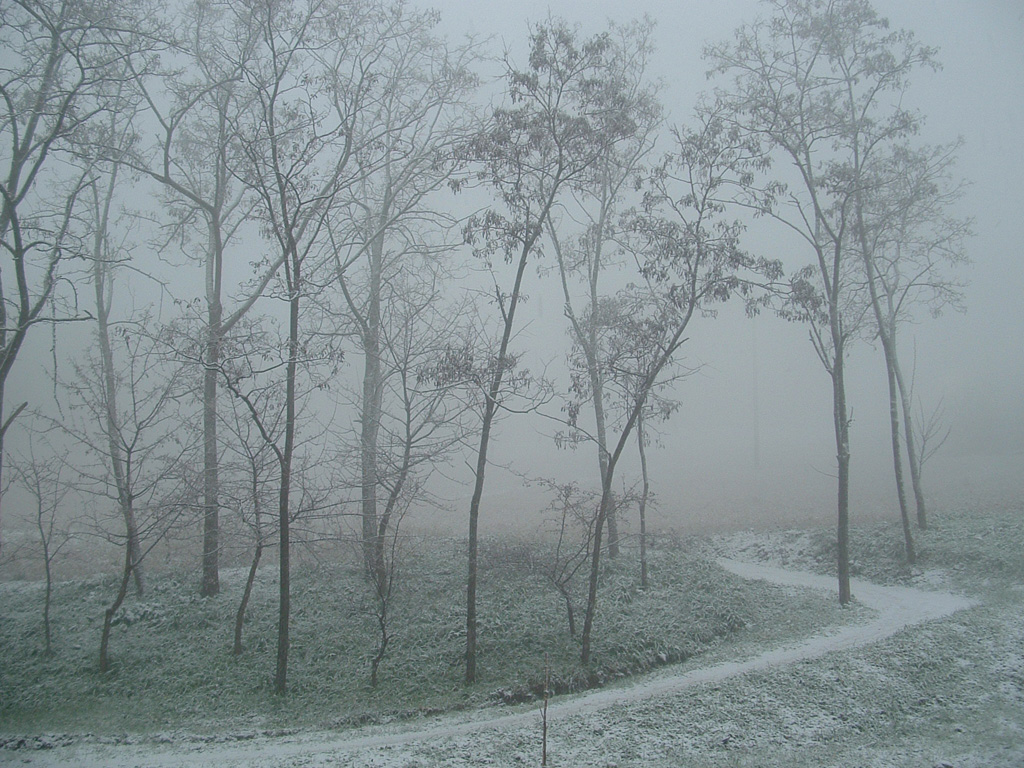 Freddo Polare E.....neve Su LA MIA VITA